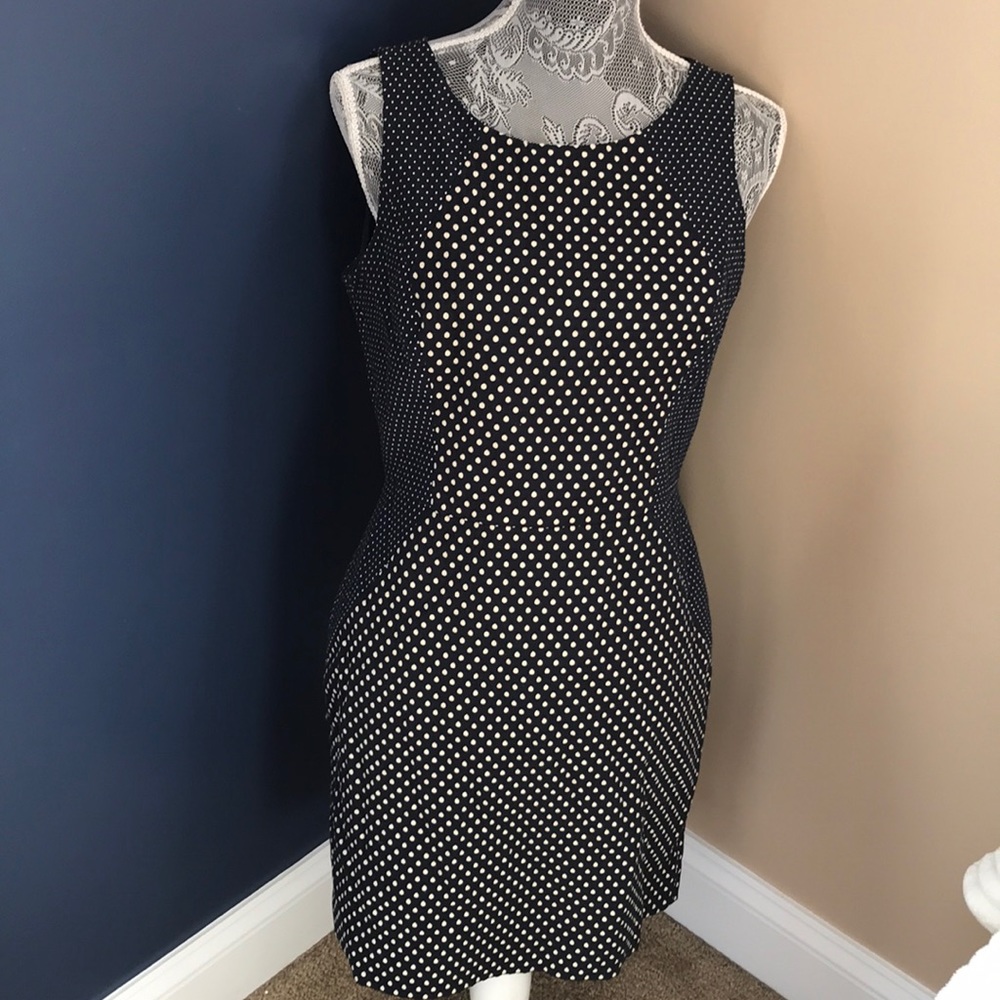 Banana Republic  polka dot dress